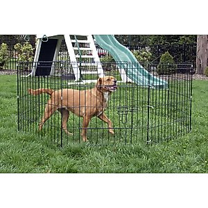 Iconic Pet 8-Panel Portable Foldable Wire Dog Pen, 24-in