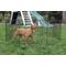 Show in main carousel: Iconic Pet 8-Panel Portable Foldable Wire Dog Pen, 24-in slide 2 of 4
