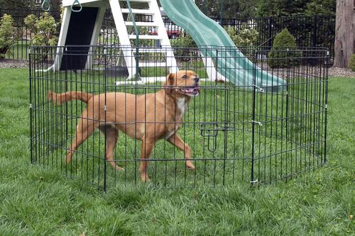 Show full view: Iconic Pet 8-Panel Portable Foldable Wire Dog Pen, 24-in slide 2 of 4