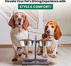 Iconic Pet Adjustable Stainless Steel Elevated Dog Bowl, H Design, 3-qt slide 2 of 6