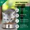 Show in main carousel: Iconic Pet Anti Ant Stainless Steel Non Skid Dog & Cat Bowl, 2 count, 1-cup slide 2 of 8