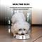 Show in main carousel: Iconic Pet Anti Ant Stainless Steel Non Skid Dog & Cat Bowl, 2 count, 1-cup slide 5 of 8