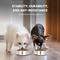 Show in main carousel: Iconic Pet Anti Ant Stainless Steel Non Skid Dog & Cat Bowl, 2 count, 1-cup slide 3 of 8
