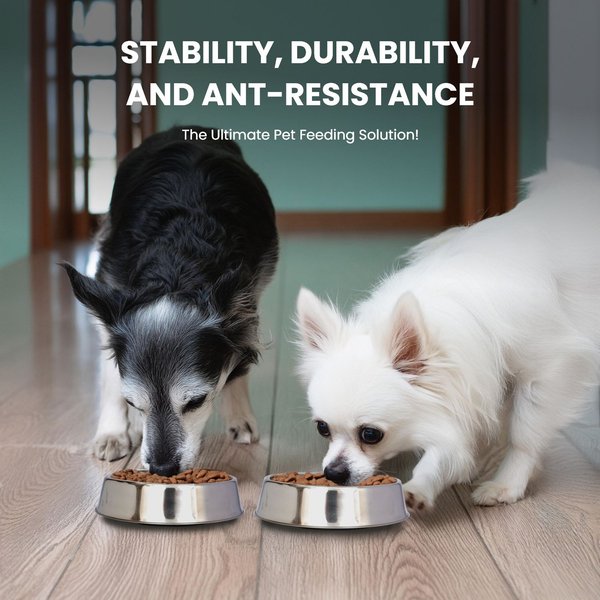 Iconic Pet Anti Ant Stainless Steel Non Skid Dog & Cat Bowl, 2 count