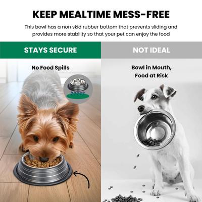 Show full view: Iconic Pet Color Splash Stripe Non-Skid Dog Bowl, 2 count, Black, 2-cup slide 4 of 9