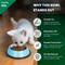 Show in main carousel: Iconic Pet Color Splash Stripe Non-Skid Dog Bowl, 2 count, Blue, 1-cup slide 3 of 9