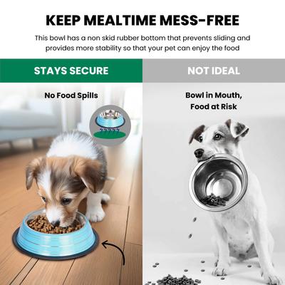 Show full view: Iconic Pet Color Splash Stripe Non-Skid Dog Bowl, 2 count, Blue, 1-cup slide 4 of 9