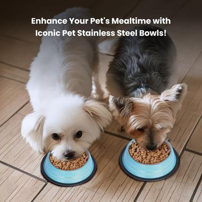 Show full view: Iconic Pet Color Splash Stripe Non-Skid Dog Bowl, 2 count, Blue, 2-cup slide 6 of 9
