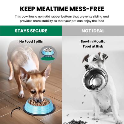 Show full view: Iconic Pet Color Splash Stripe Non-Skid Dog Bowl, 2 count, Blue, 2-cup slide 4 of 9