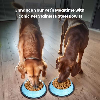 Show full view: Iconic Pet Color Splash Stripe Non-Skid Dog Bowl, 2 count, Blue, 8-cup slide 6 of 9