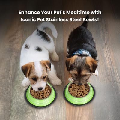 Show full view: Iconic Pet Color Splash Stripe Non-Skid Dog Bowl, 2 count, Green, 1-cup slide 7 of 10