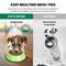 Show in main carousel: Iconic Pet Color Splash Stripe Non-Skid Dog Bowl, 2 count, Green, 1-cup slide 5 of 10