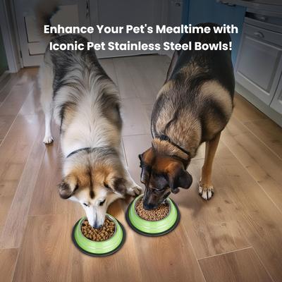 Show full view: Iconic Pet Color Splash Stripe Non-Skid Dog Bowl, 2 count, Green, 8-cup slide 6 of 9