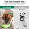 Show in main carousel: Iconic Pet Color Splash Stripe Non-Skid Dog Bowl, 2 count, Green, 8-cup slide 4 of 9