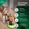 Show in main carousel: Iconic Pet Color Splash Stripe Non-Skid Dog Bowl, 2 count, Green, 8-cup slide 3 of 9