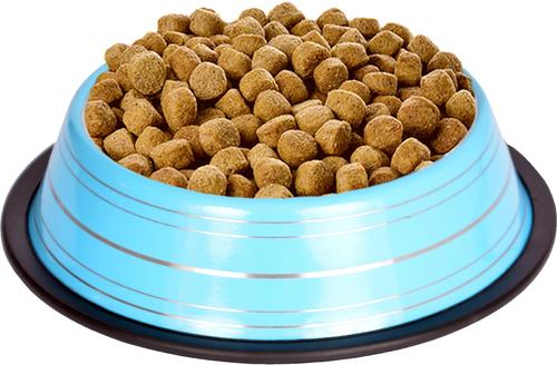 Show full view: Iconic Pet Color Splash Stripe Non-Skid Stainless Steel Dog & Cat Bowl, Blue, 32-oz slide 5 of 7