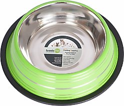 Iconic Pet Color Splash Stripe Non-Skid Stainless Steel Dog & Cat Bowl, Green, 24-oz