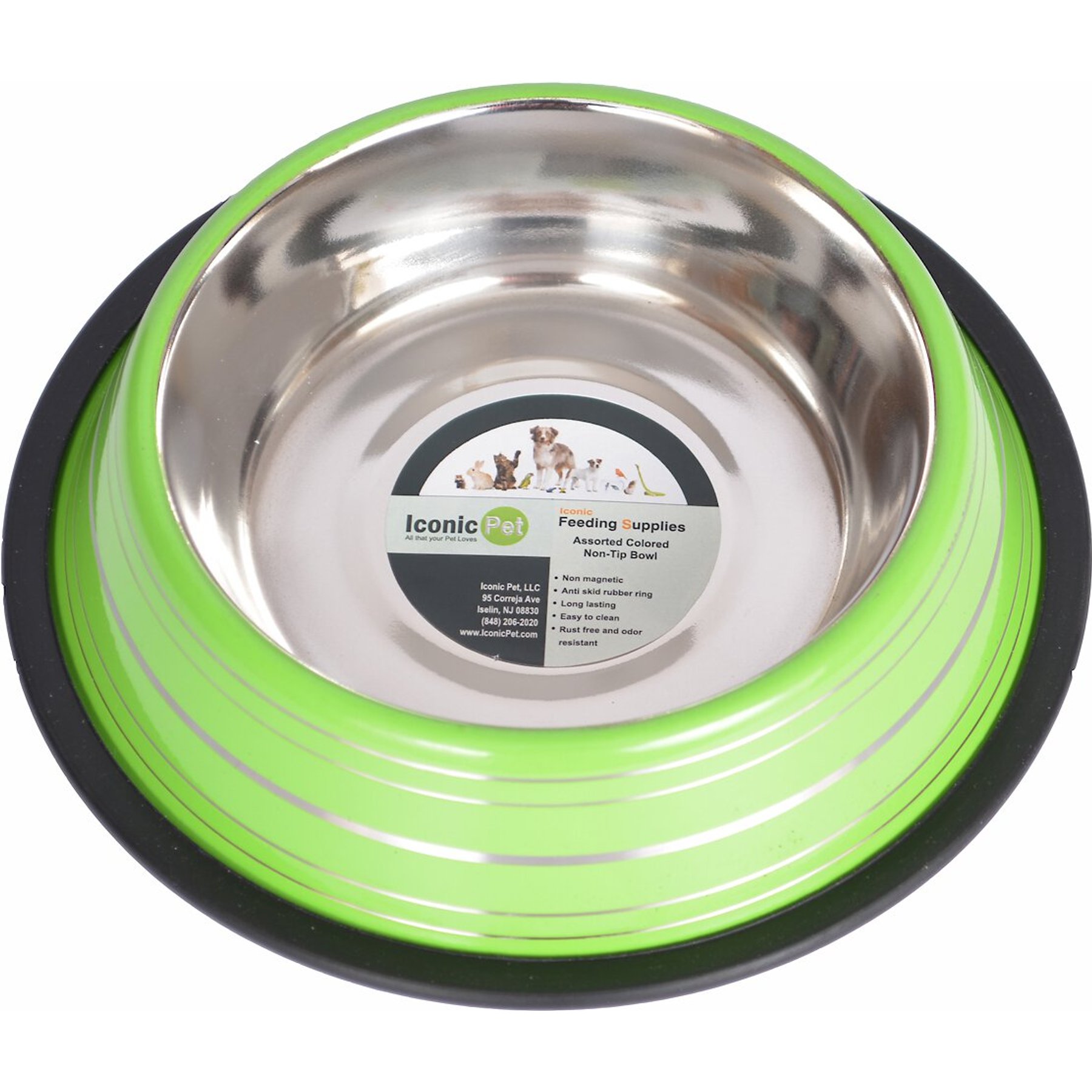Iconic Pet Color Splash Stripe Non-Skid Stainless Steel Dog & Cat Bowl, Green, 24-oz