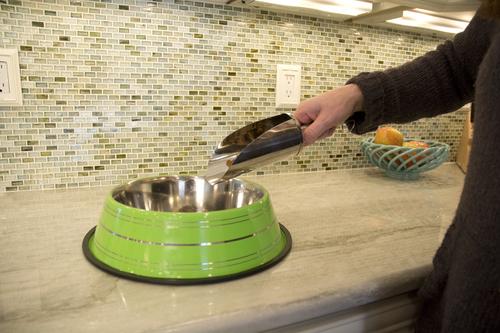 Show full view: Iconic Pet Color Splash Stripe Non-Skid Stainless Steel Dog & Cat Bowl, Green, 24-oz slide 3 of 7