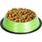 Show in main carousel: Iconic Pet Color Splash Stripe Non-Skid Stainless Steel Dog & Cat Bowl, Green, 64-oz slide 4 of 6