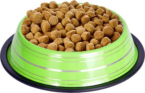 Show full view: Iconic Pet Color Splash Stripe Non-Skid Stainless Steel Dog & Cat Bowl, Green, 8-oz slide 5 of 7
