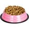Show in main carousel: Iconic Pet Color Splash Stripe Non-Skid Stainless Steel Dog & Cat Bowl, Pink, 8-oz slide 5 of 7