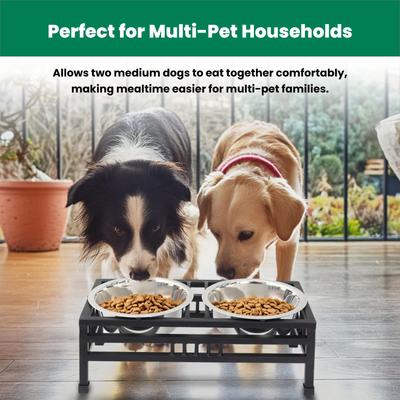 Show full view: Iconic Pet Elevated Rectangular Non-Skid Stainless-Steel Double Diner Dog Bowl, Black, Medium: 32-oz slide 6 of 9