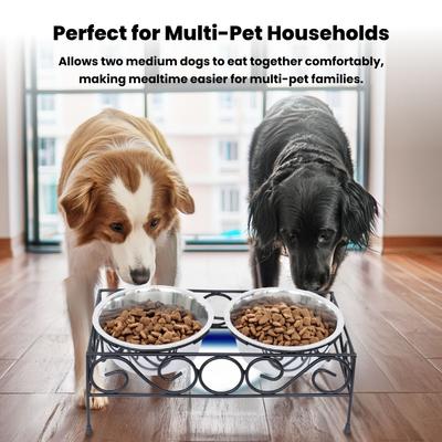 Show full view: Iconic Pet Elevated Wired Non-Skid Stainless-Steel Double Diner Dog Bowl, Black, Medium: 32-oz slide 6 of 10