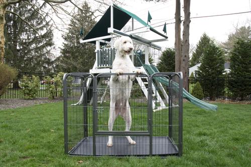 Show full view: Iconic Pet Heavy Duty Rectangular Wire Dog Playpen, 28-in slide 4 of 6