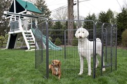 Iconic Pet Heavy Duty Wire Dog Playpen, 24-in slide 2 of 4