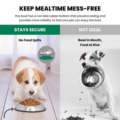 Show full view: Iconic Pet Heavy Weight Non-Skid Easy Feed High Back Dog Bowl, Stainless Steel, 2 count, 1-cup slide 5 of 9