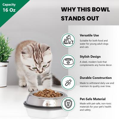 Show full view: Iconic Pet Heavy Weight Non-Skid Easy Feed High Back Dog Bowl, Stainless Steel, 2 count, 2-cup slide 4 of 9