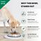 Show in main carousel: Iconic Pet Heavy Weight Non-Skid Easy Feed High Back Dog Bowl, Stainless Steel, 2 count, 3-cup slide 4 of 9