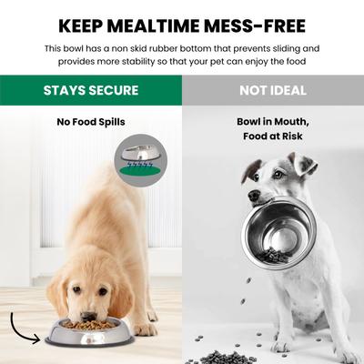 Show full view: Iconic Pet Heavy Weight Non-Skid Easy Feed High Back Dog Bowl, Stainless Steel, 2 count, 3-cup slide 5 of 9