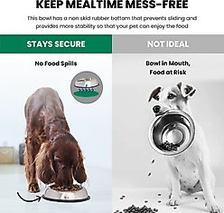 Iconic Pet Heavy Weight Non-Skid Easy Feed High Back Dog Bowl, Stainless Steel, 2 count, 4-cup slide 2 of 9