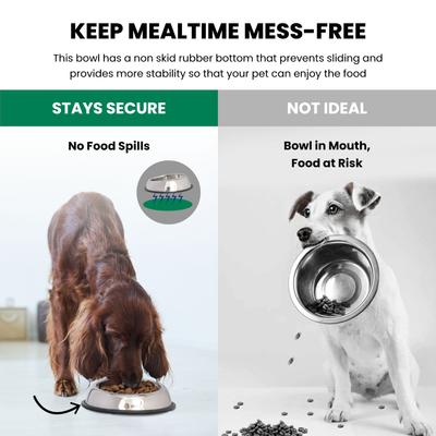 Show full view: Iconic Pet Heavy Weight Non-Skid Easy Feed High Back Dog Bowl, Stainless Steel, 2 count, 4-cup slide 5 of 9