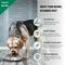 Show in main carousel: Iconic Pet Heavy Weight Non-Skid Easy Feed High Back Dog Bowl, Stainless Steel, 2 count, 8-cup slide 4 of 9