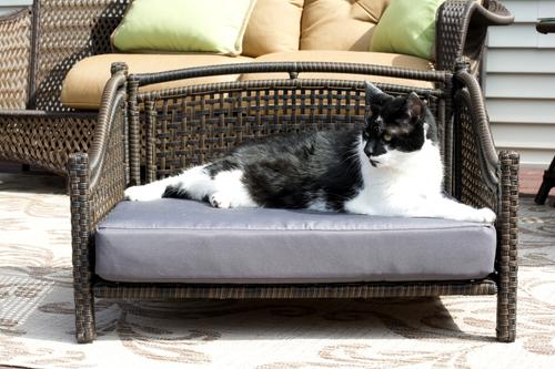 Show full view: Iconic Pet Maharaja Rattan Sofa Cat & Dog Bed with Removable Cover, Caramel & Mocha slide 4 of 10