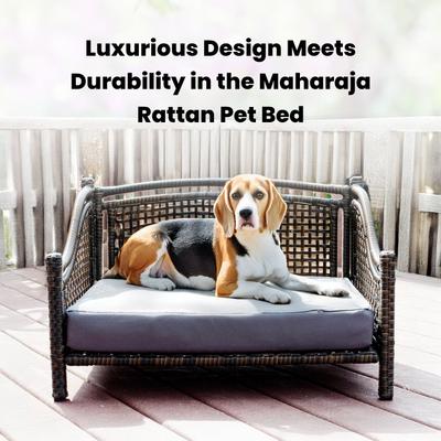 Show full view: Iconic Pet Maharaja Rattan Sofa Cat & Dog Bed with Removable Cover, Caramel & Mocha slide 6 of 10