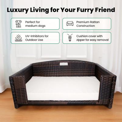 Show full view: Iconic Pet Rattan Rectangular Sofa Cat & Dog Bed with Removable Cover, Espresso, Medium slide 6 of 8