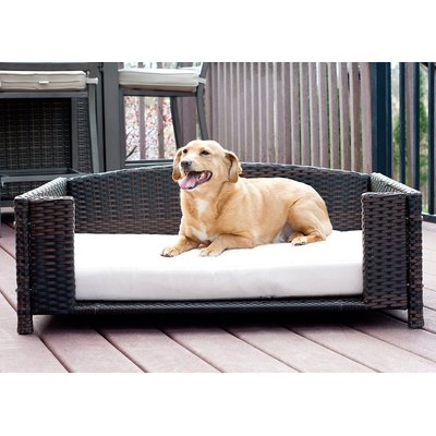 Iconic Pet Iconic Pet Rattan Rectangular Sofa Cat & Dog Bed with Removable Cover, Espresso, Small