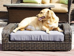 Iconic Pet Rattan Sofa Cat & Dog Bed with Removable Cover, Caramel & Mocha
