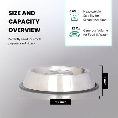Show full view: Iconic Pet Slow Feed Stainless Steel Dog & Cat Bowl, 2 count, Small slide 9 of 10