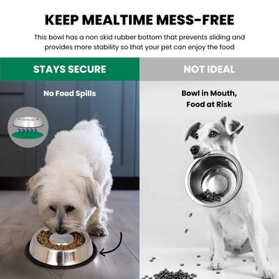 Show full view: Iconic Pet Slow Feed Stainless Steel Dog & Cat Bowl, 2 count, Small slide 6 of 10