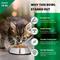 Show in main carousel: Iconic Pet Stainless Steel Non-Skid Dog & Cat Bowl, 2 count, 2-cup slide 4 of 10