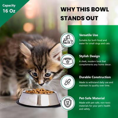 Show full view: Iconic Pet Stainless Steel Non-Skid Dog & Cat Bowl, 2 count, 2-cup slide 4 of 10