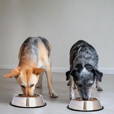 Show full view: Iconic Pet Stainless Steel Non-Skid Dog & Cat Bowl, 2 count, 3-cup slide 7 of 10