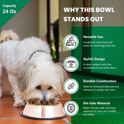 Show full view: Iconic Pet Stainless Steel Non-Skid Dog & Cat Bowl, 2 count, 3-cup slide 4 of 10