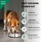 Show in main carousel: Iconic Pet Stainless Steel Non-Skid Dog & Cat Bowl, 2 count, 4-cup slide 4 of 10