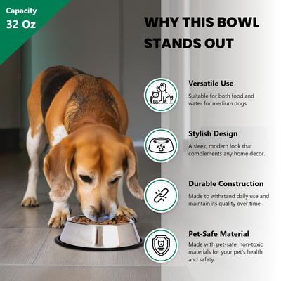 Show full view: Iconic Pet Stainless Steel Non-Skid Dog & Cat Bowl, 2 count, 4-cup slide 4 of 10